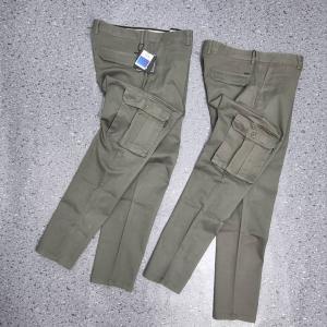 Cargo Pants 1